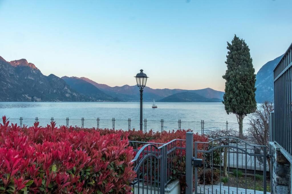 Happy Guest Apartments - Feel The Lake Riva di Solto Bagian luar foto